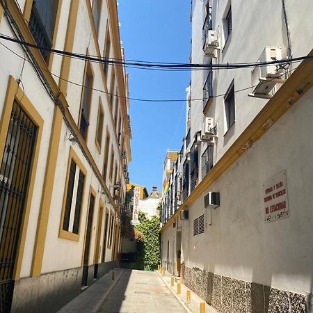 Rentalsevilla San Clemente Екстериор снимка
