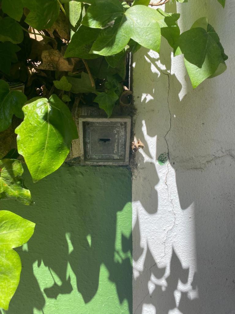 Rentalsevilla San Clemente Екстериор снимка