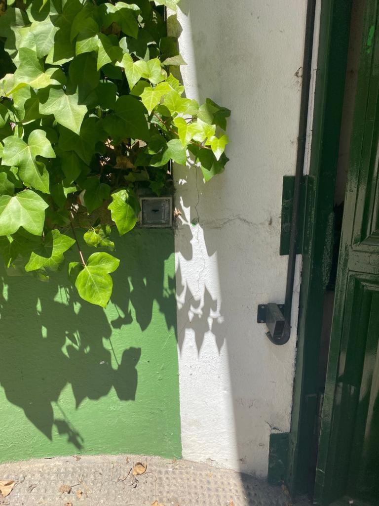 Rentalsevilla San Clemente Екстериор снимка