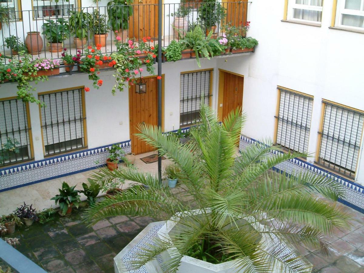 Rentalsevilla San Clemente Екстериор снимка